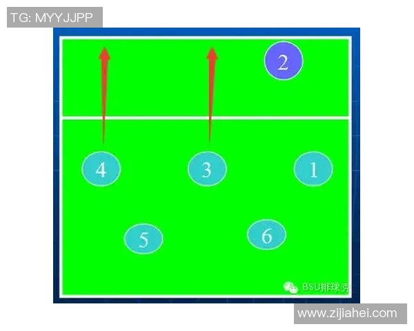 排球新手攻略：战术入门指南